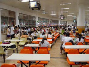 可靠的食堂承包東莞市百粒香膳食提供 塘廈食堂承包